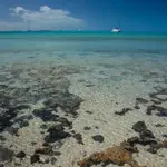Salt Pond Anchorage