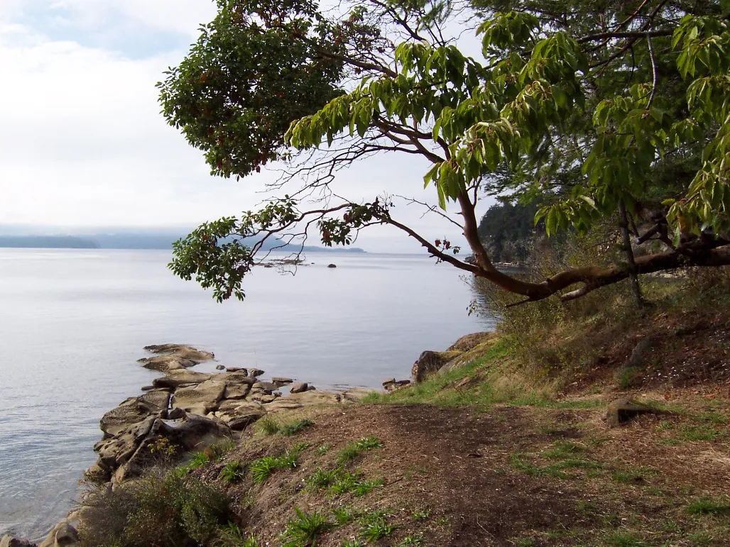 Descanso Bay, stop in United States — photo 9