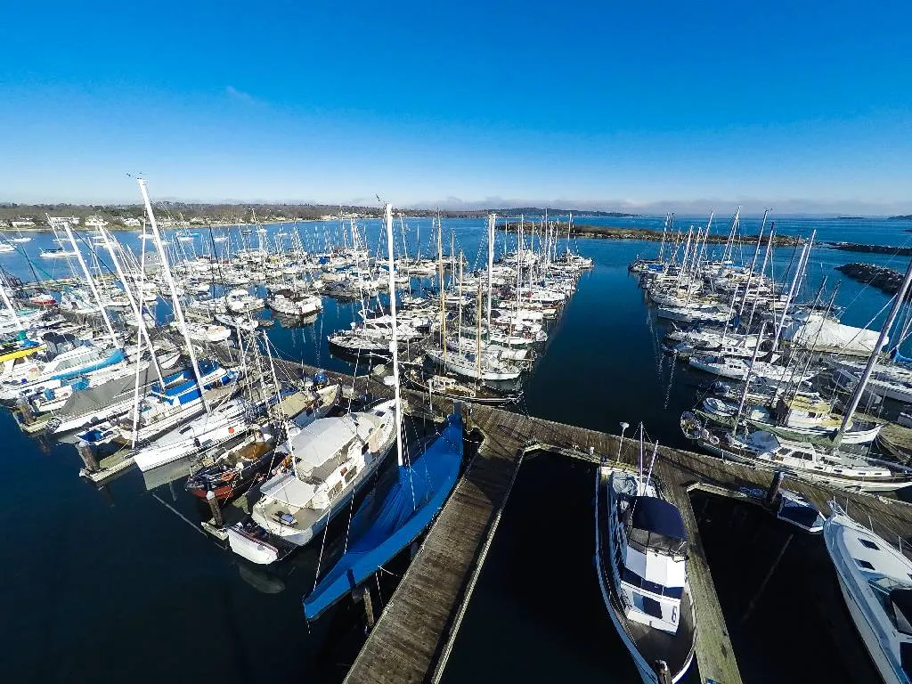 Ship Point Marina, stop in Oak Bay — photo 8