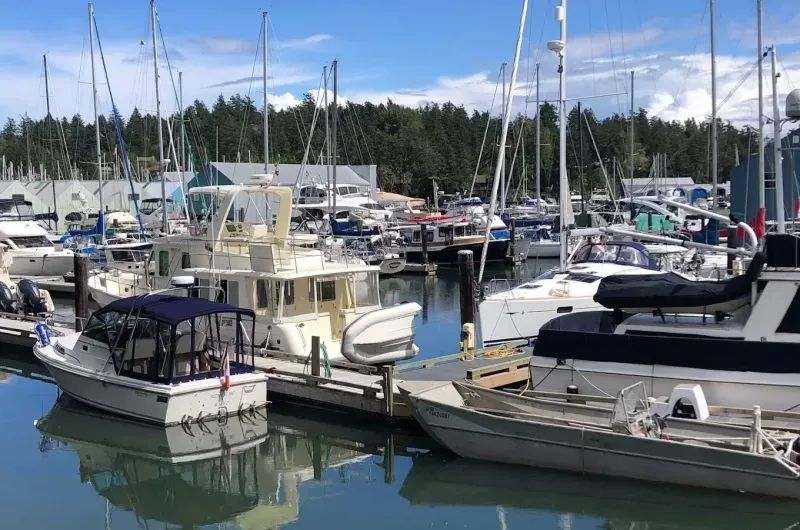 Cedar Grove Marina in Sidney, Canada — photo 3
