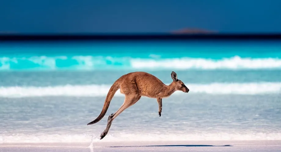 Austrailia Beach, stop in United States — photo 8