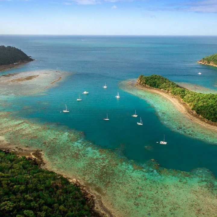 Butterfly Bay, stop in Hayman Island, Australia — photo 4