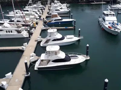 La Playita Marina in Ancón, Panama — photo 3