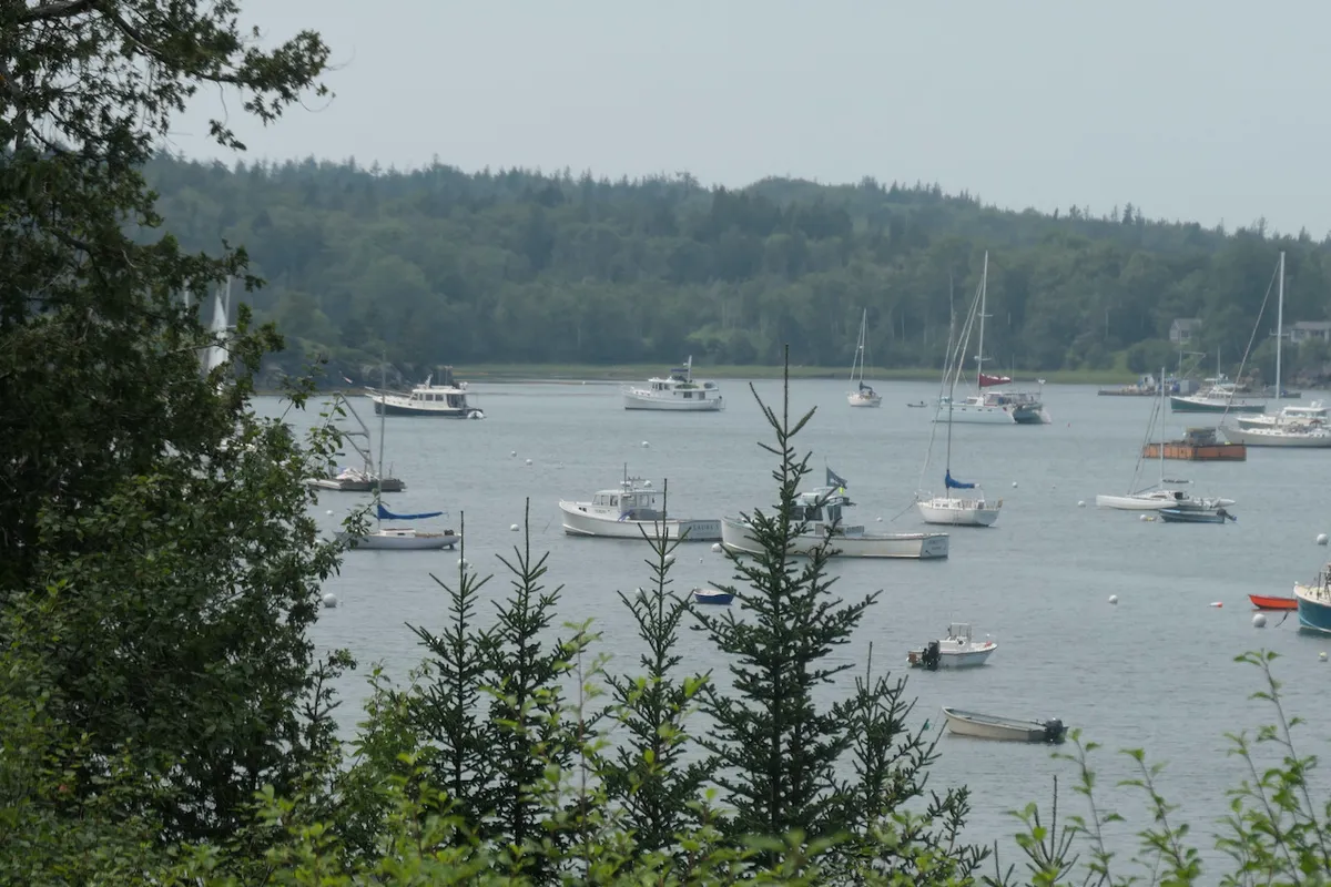 Pulpit Harbor, anchorage in North Haven, United States — photo 3
