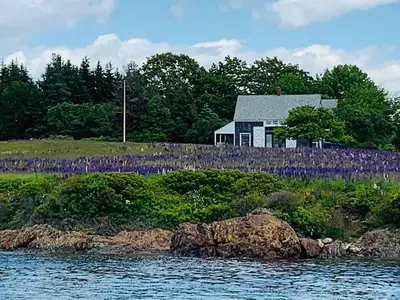 Pulpit Harbor, anchorage in North Haven, United States — photo 2