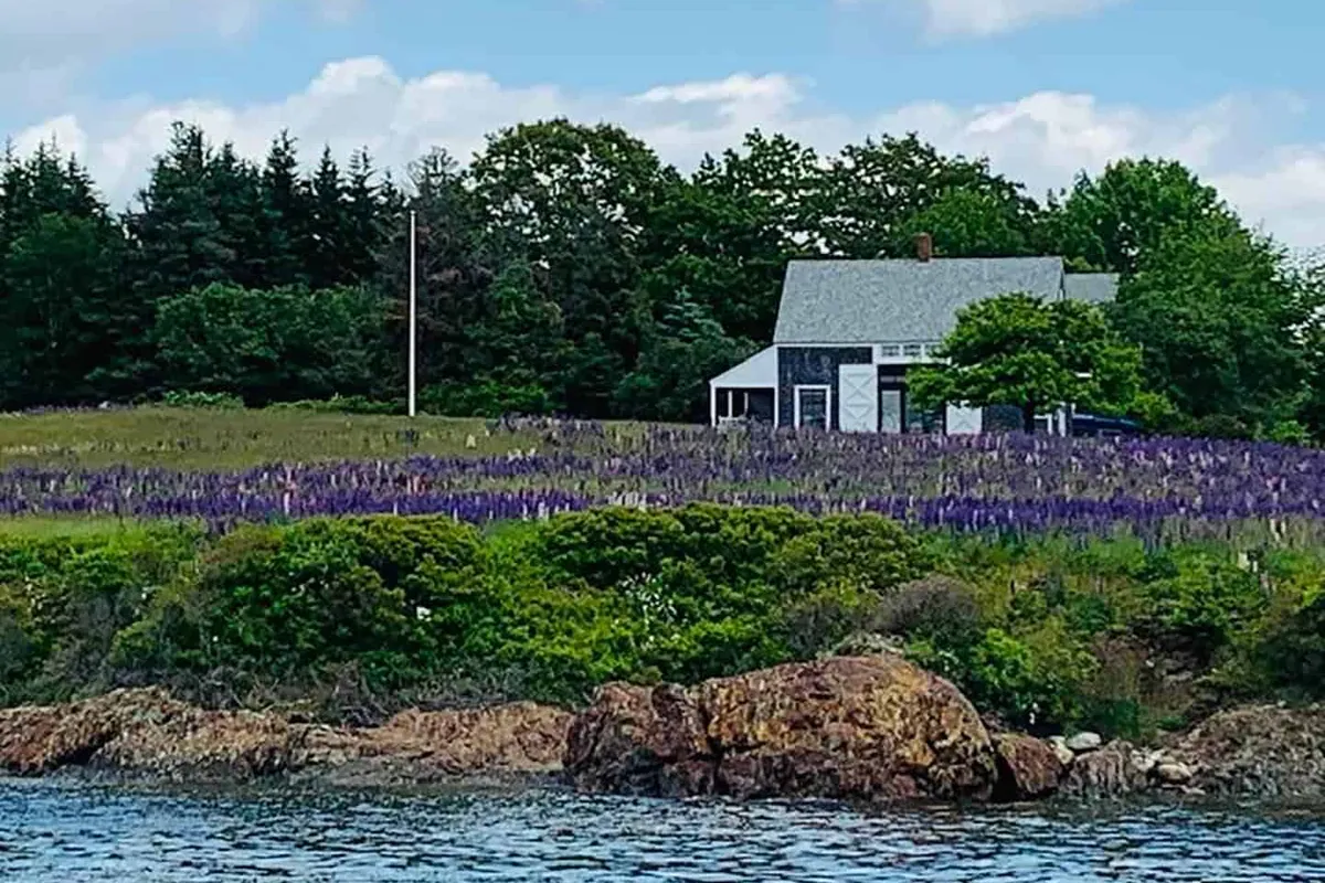 Pulpit Harbor, anchorage in North Haven, United States — photo 2