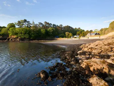 Passage Cove (sand & shingle) tidal area, stop in Flushing, United Kingdom — photo 4