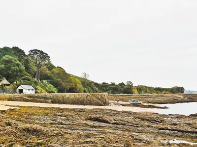 Passage Cove (sand & shingle) tidal area, stop in Flushing, United Kingdom — photo 5