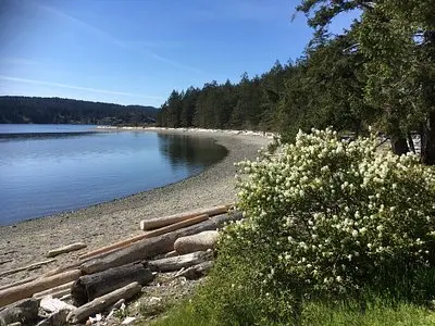 Drew Harbour