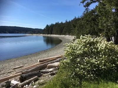 Drew Harbour in Canada