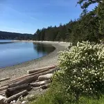 Drew Harbour