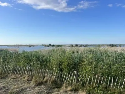 Havenstrand, stop in Netherlands — photo 2