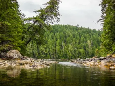Squirrel Cove Lagoon, anchorage in Canada — photo 5