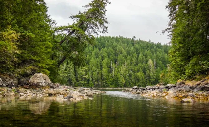 Squirrel Cove Lagoon, anchorage in Canada — photo 5