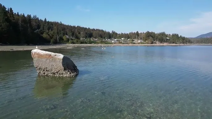 Squirrel Cove Lagoon, anchorage in Canada — photo 6
