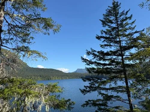 Melanie Cove, anchorage in Canada — photo 7