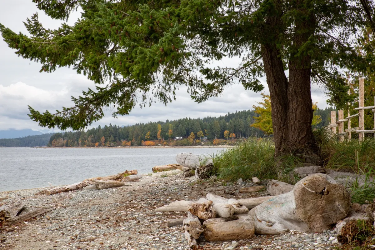 Cortes Bay, anchorage in Canada — photo 2