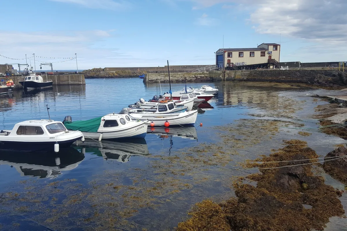 Eyemouth Anchorage in St Abbs — photo 7