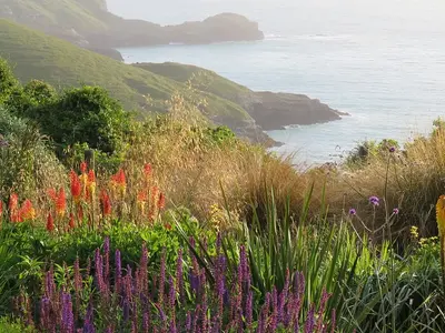 Fisherman Bay, stop in United States — photo 4