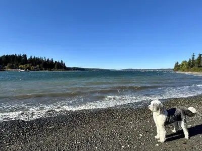 Port Madison Bay, anchorage in United States — photo 4