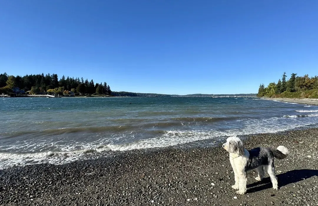 Port Madison Bay, anchorage in United States — photo 4
