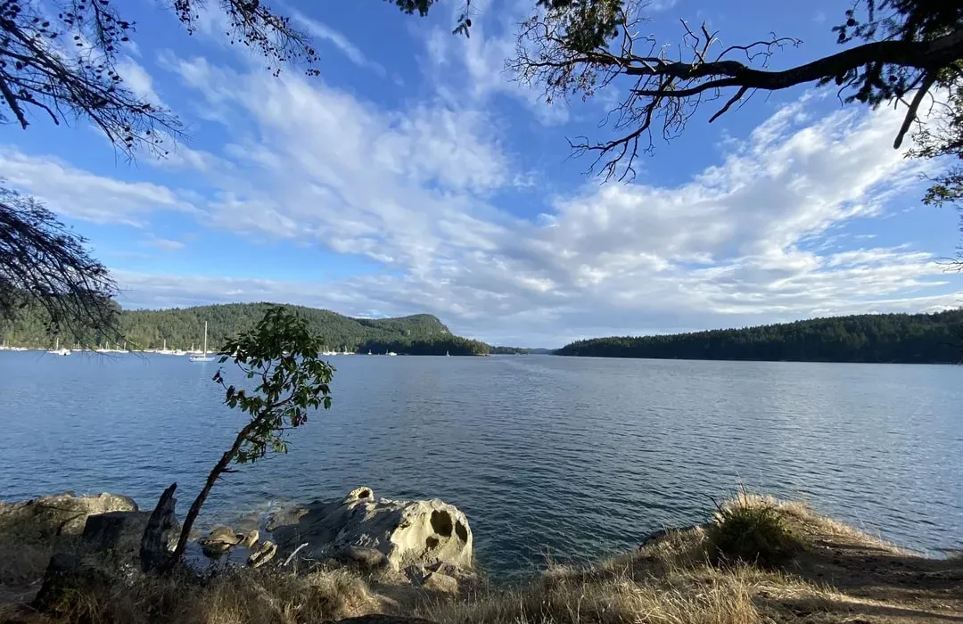 Montague Harbour Marine Provincial Park, stop in Southern Gulf Islands Electoral Area — photo 4