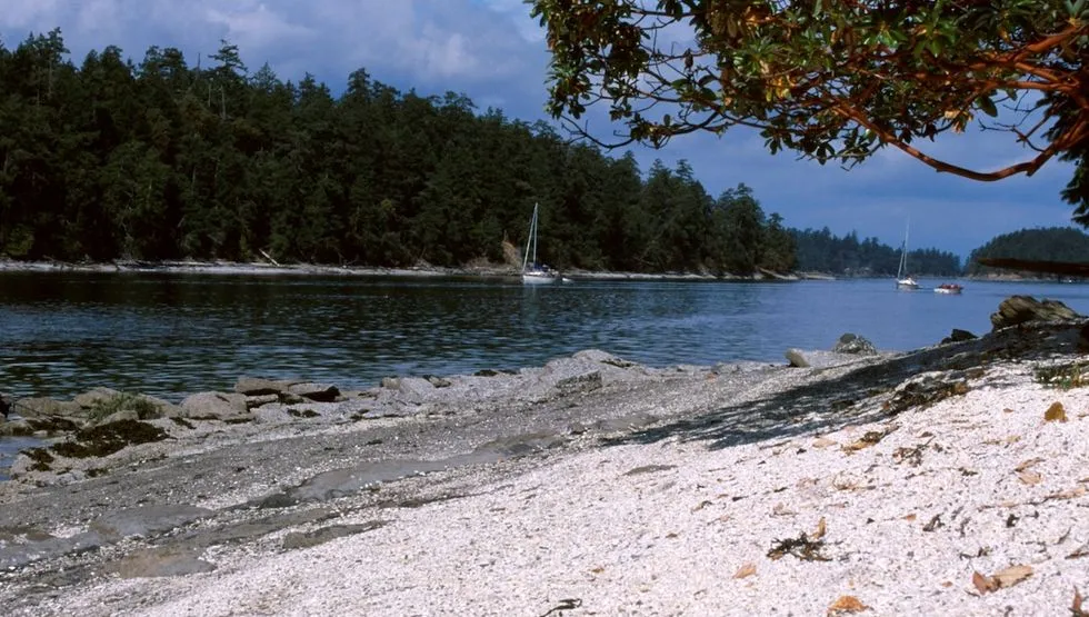 Montague Harbour Marine Provincial Park, stop in Southern Gulf Islands Electoral Area — photo 8