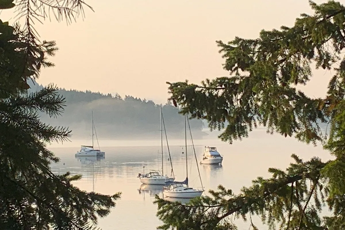 Montague Harbour Marine Provincial Park, stop in Southern Gulf Islands Electoral Area — photo 6