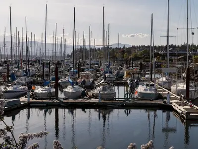 Comox Bay Marina in Courtenay, Canada — photo 3