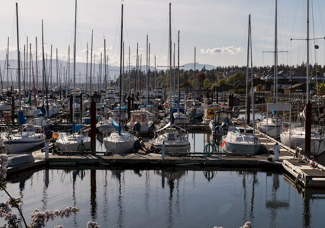 Comox Bay Marina in Courtenay, Canada — photo 3