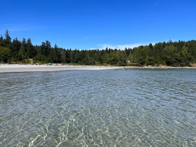 Big Tribune Bay, anchorage in Area A (Baynes Sound), Canada