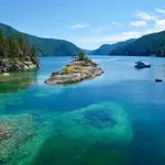 Walsh Cove