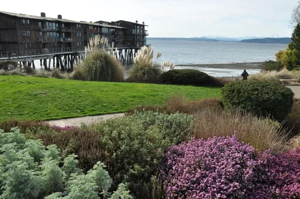 Cormorant Cove, stop in United States