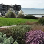 Cormorant Cove