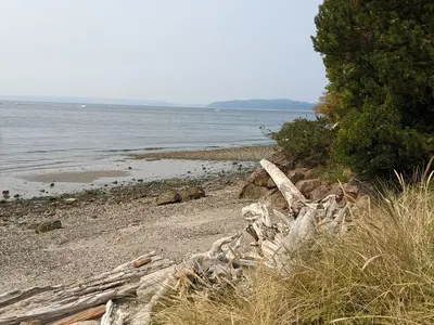 Cormorant Cove, stop in United States — photo 4