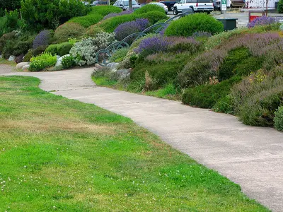 Cormorant Cove, stop in United States — photo 2