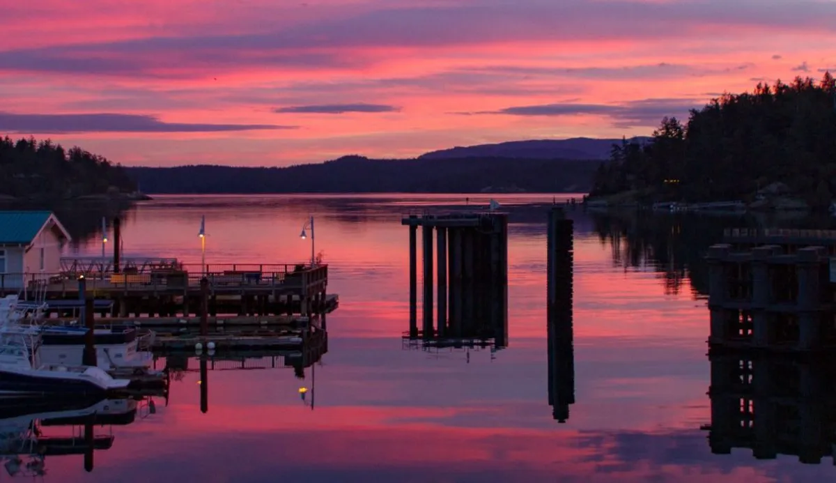 Friday Harbor, harbour in Friday Harbor, United States — photo 5
