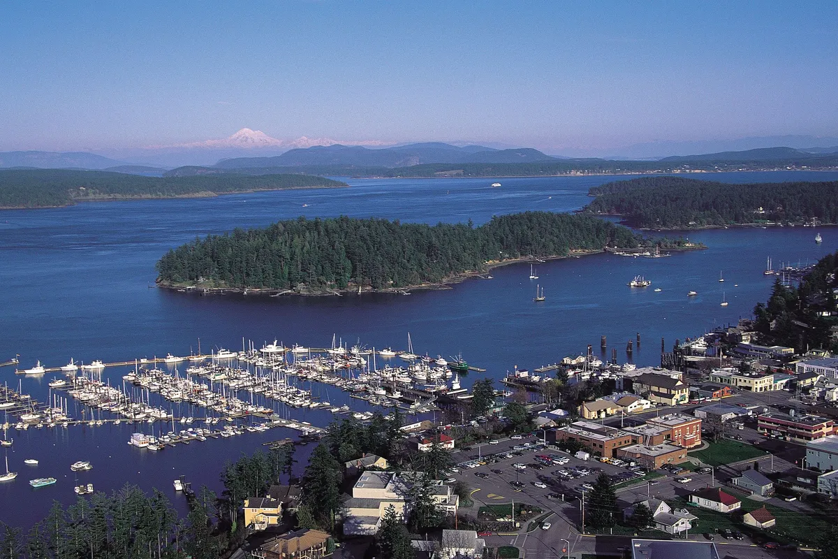 Friday Harbor, harbour in Friday Harbor, United States — photo 3