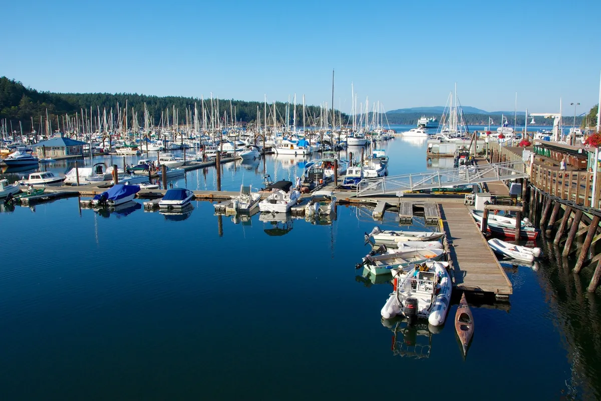 Friday Harbor, harbour in Friday Harbor, United States — photo 8