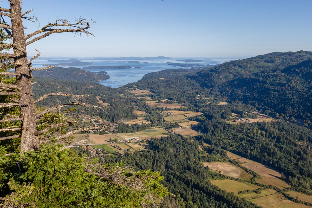 Hyashi Cove, stop in Southern Gulf Islands Electoral Area, Canada — photo 4