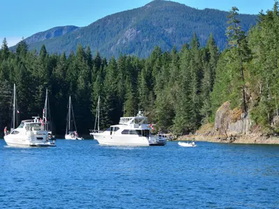 Squirrel Cove, anchorage in Canada — photo 3