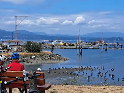 Madrona Bay, anchorage in Salt Spring Island Electoral Area, Canada — photo 5