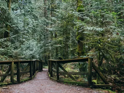 Tod Inlet, stop in Canada — photo 4