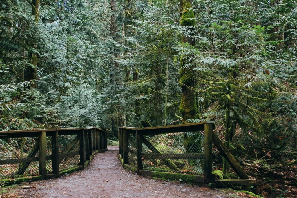 Tod Inlet, stop in Canada — photo 4