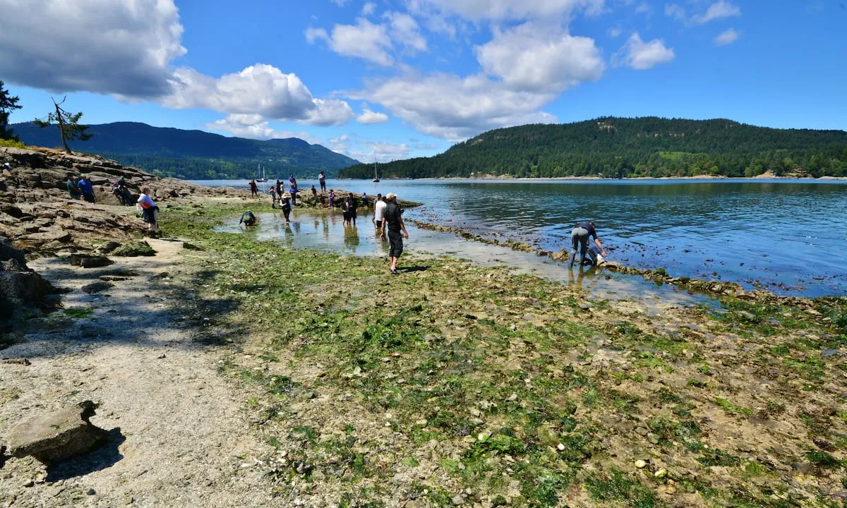 Clam Bay, anchorage in Area G (Saltair / Gulf Islands), Canada — photo 7