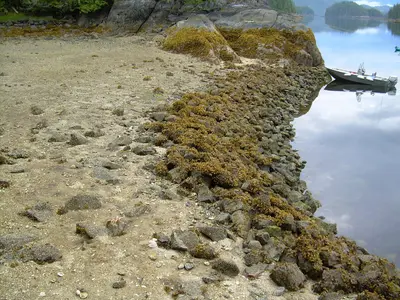 Clam Bay, anchorage in Area G (Saltair / Gulf Islands), Canada — photo 5