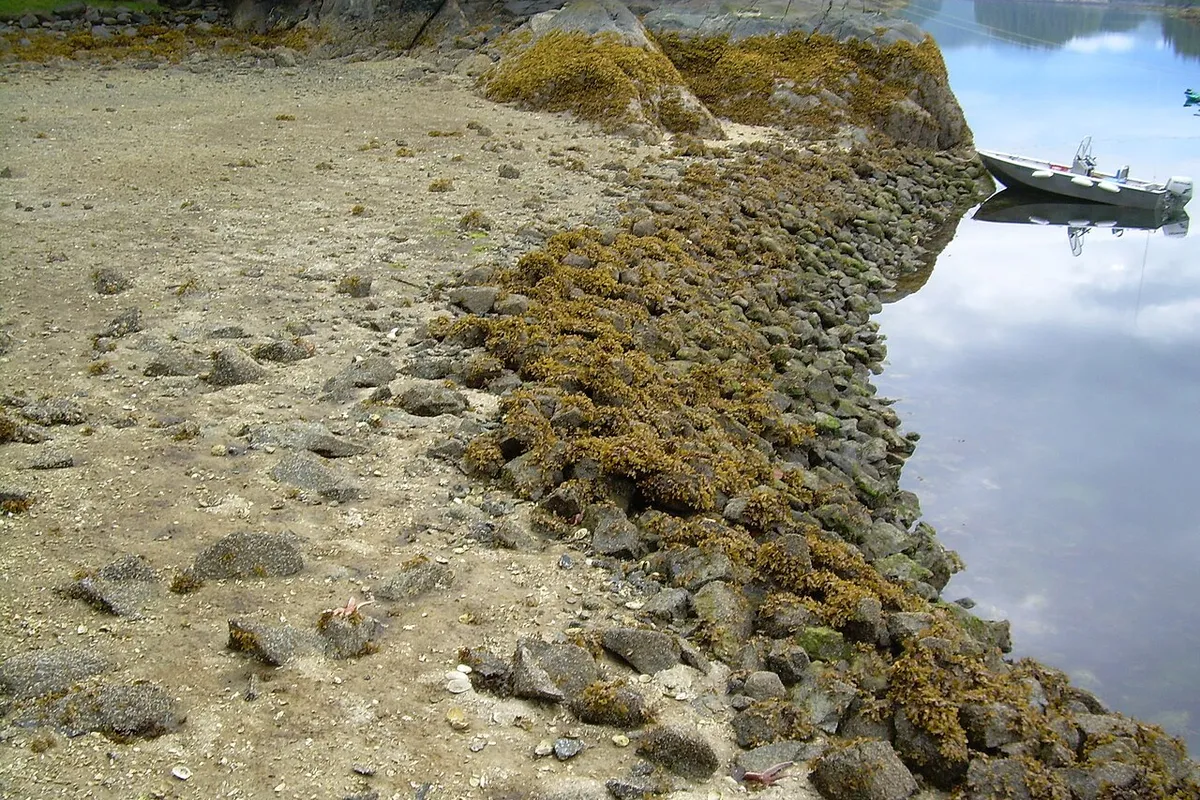 Clam Bay, anchorage in Area G (Saltair / Gulf Islands), Canada — photo 5