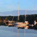 Clam Bay