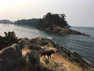 Winter Cove, stop in Canada — photo 2