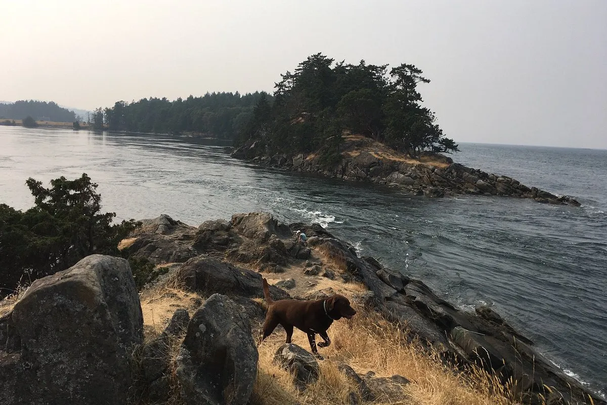 Winter Cove, stop in Canada — photo 2